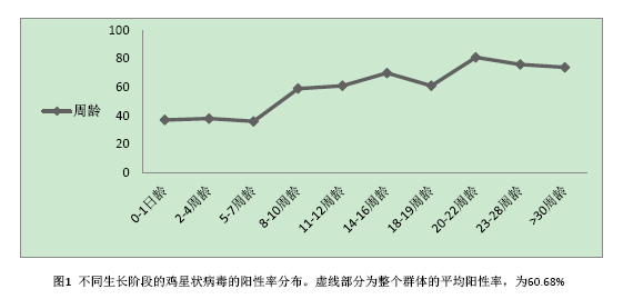 1518337877857768.png QQ截图20170717144838.png