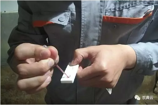 1555482793904799.png image.png