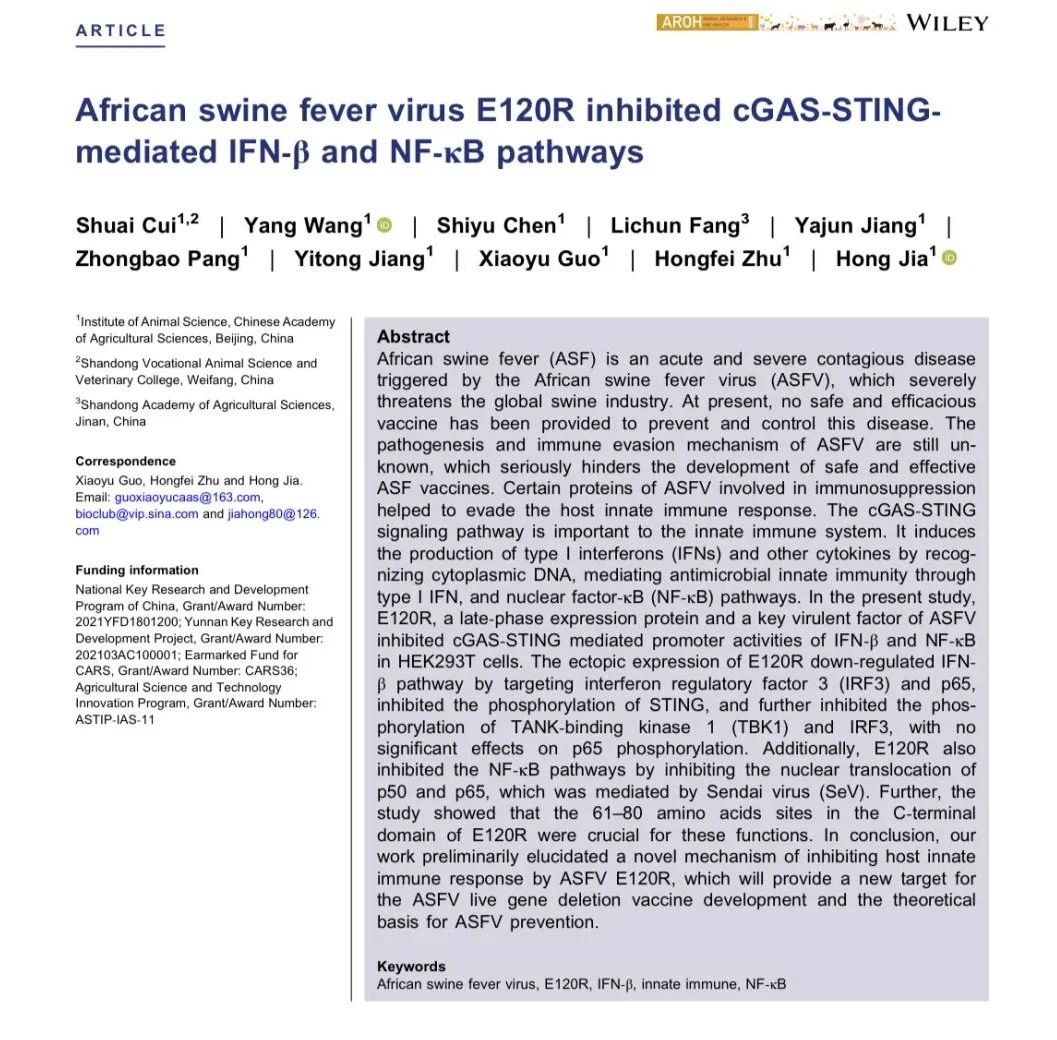 1717479228774447.jpg 1211.jpg