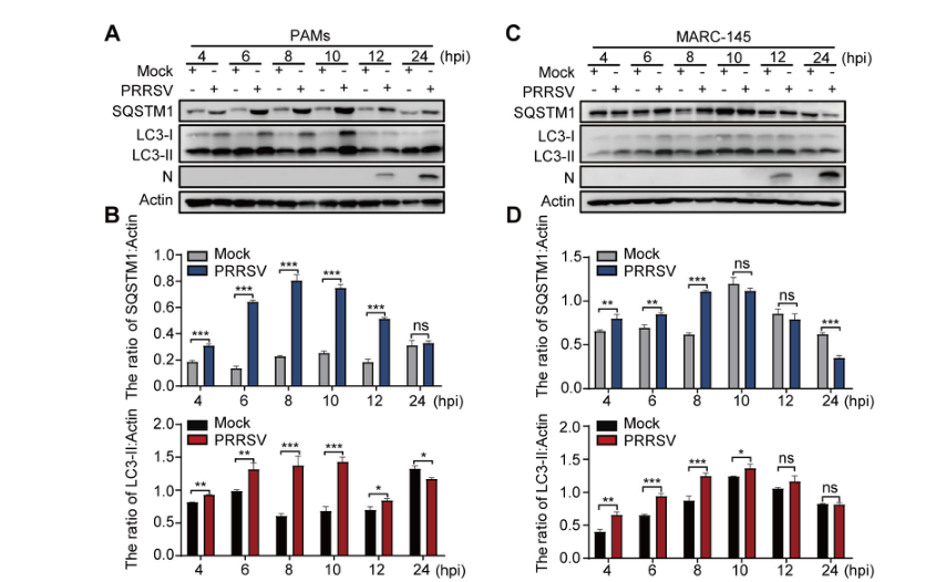 1723003027369325.png 22.png