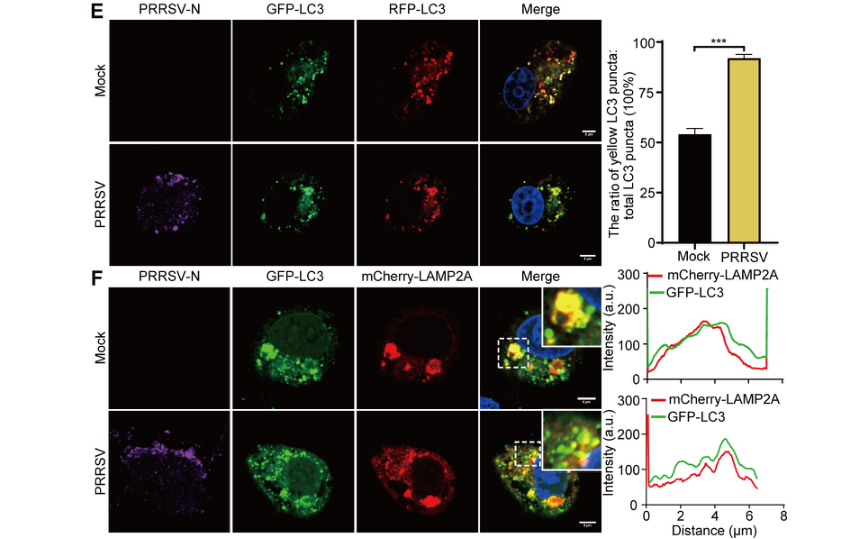 1723003037731094.png 33.png