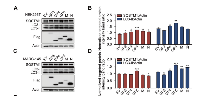 1723003060450655.png 44.png