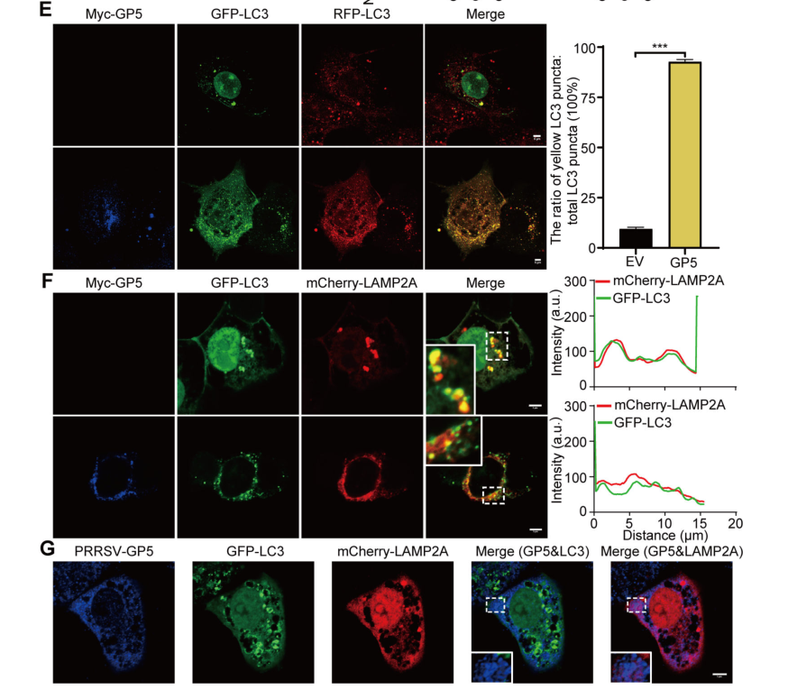 1723003067738507.png 55.png