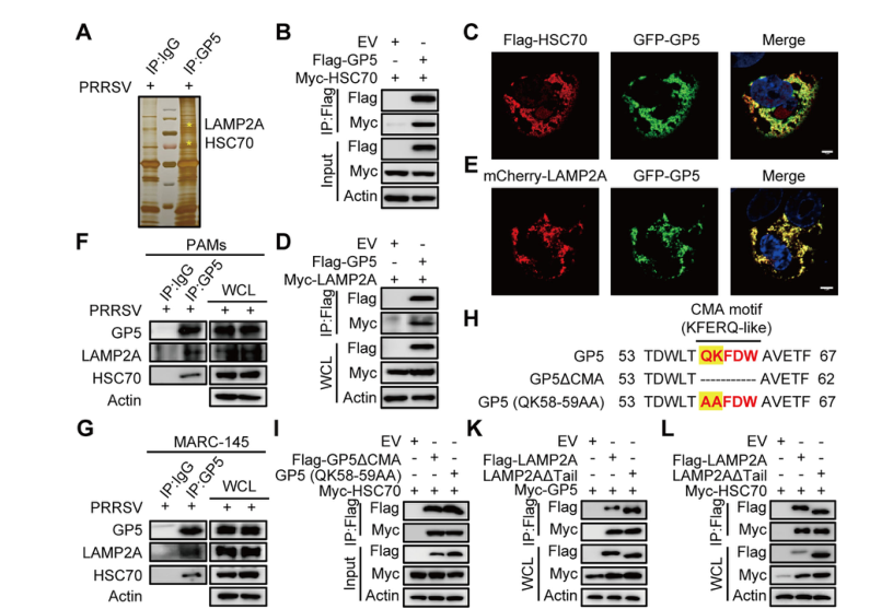 1723003074253518.png 66.png