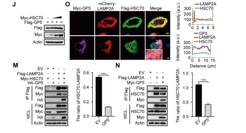 1723003082756070.png 77.png