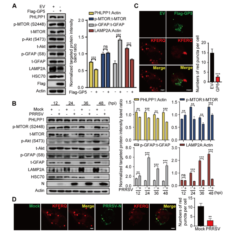 1723003088760917.png 88.png