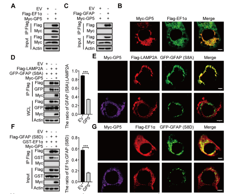 1723003094459507.png 99.png