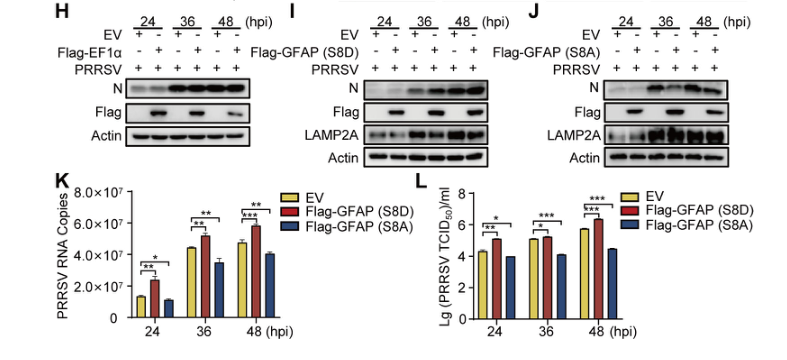 1723003101294774.png 10.png