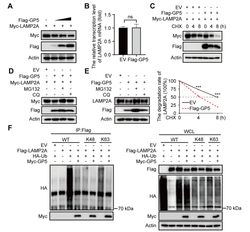 1723003106509284.png 1111.png