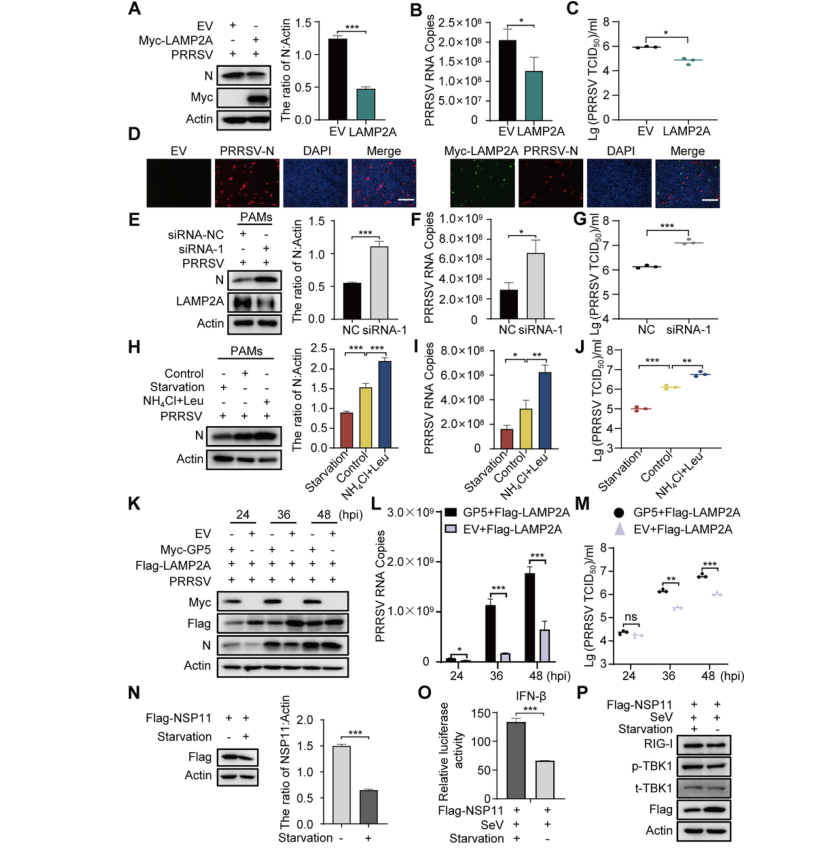 1723003142904350.png 1112.png