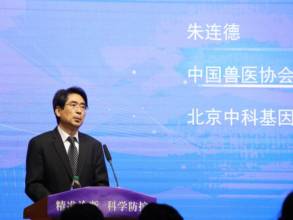 1732844954544133.jpg 猪.jpg