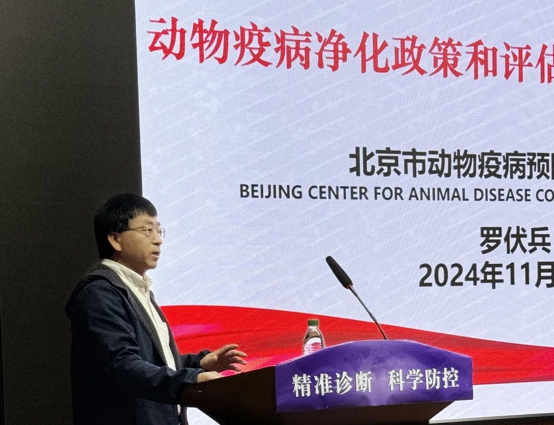 1732845149451189.jpg 2.jpg