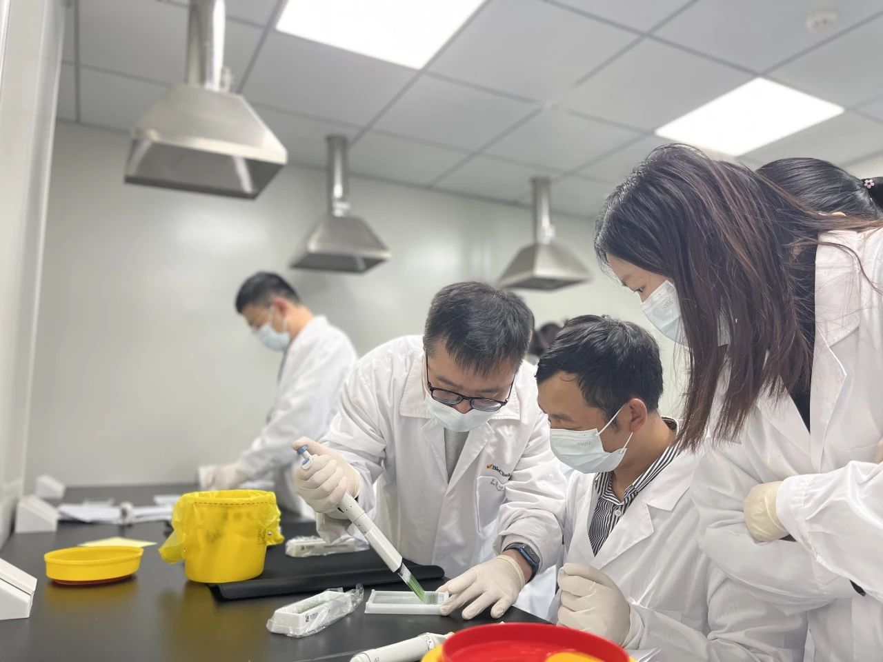 1732845330152851.jpg 12.jpg