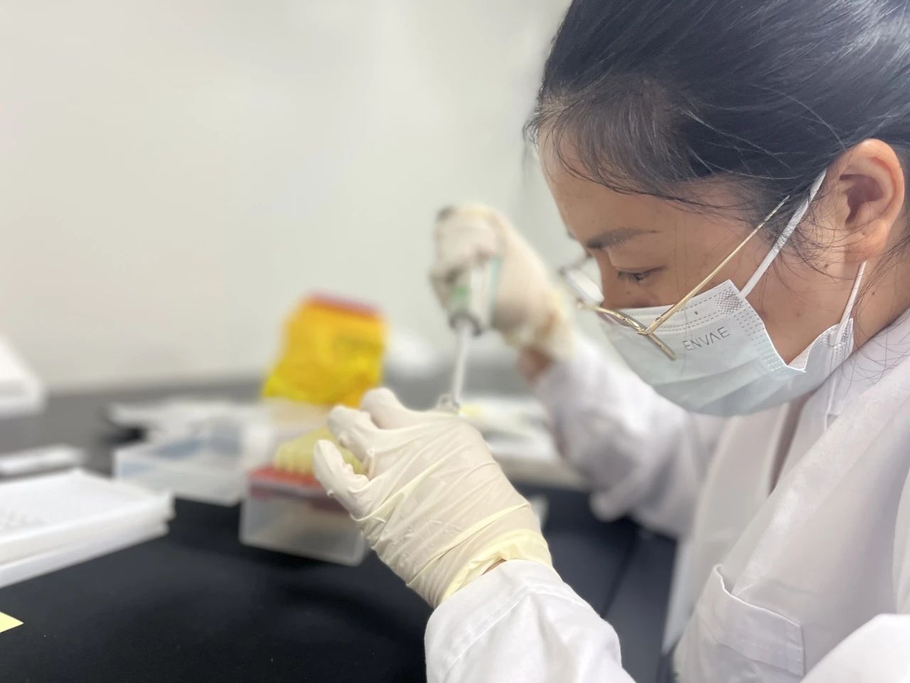 1732845356654549.jpg 13.jpg