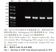 1738820736890754.png 44.png