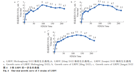 1738820810567126.png 66.png