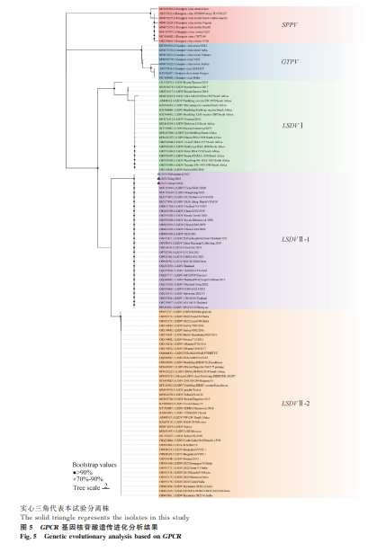 1738820814604970.png 77.png