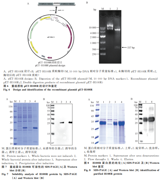 1744773758406281.png 55.png