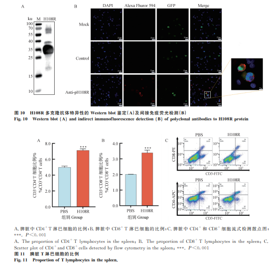 1744774100470450.png 02.png