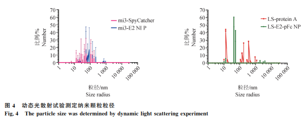 1749712141132644.png 55.png