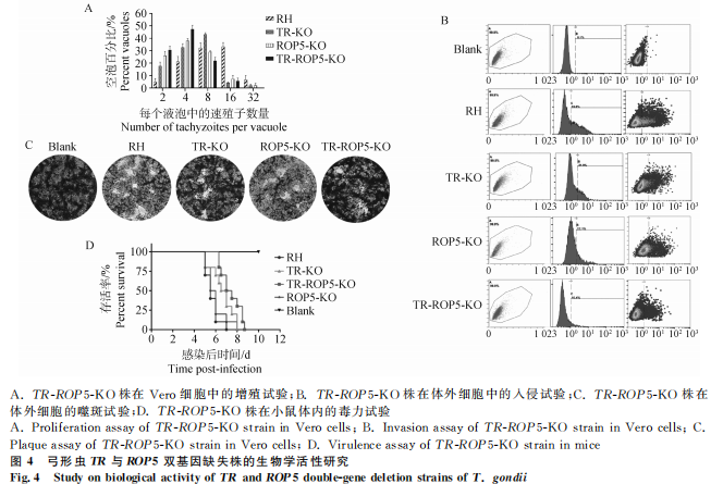 1755052104386931.png 55.png