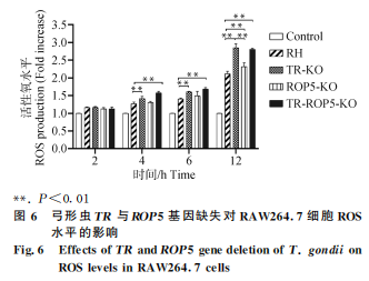 1755052115319795.png 77.png