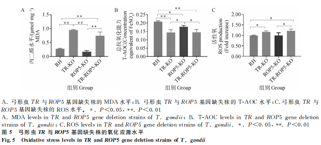 1755052128457809.png 66.png