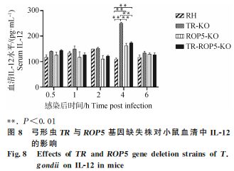 1755052169579436.png 99.png