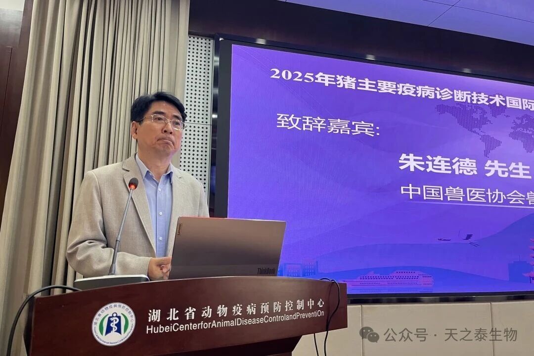 1763618248508817.jpg 13.jpg