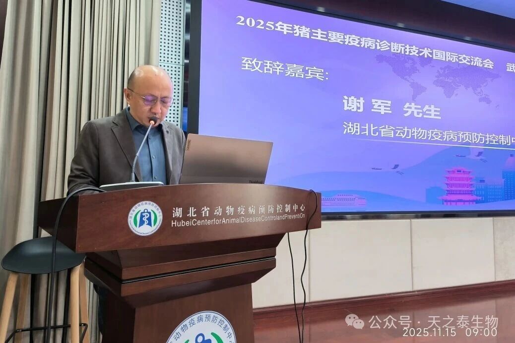 1763618336845764.jpg 14.jpg