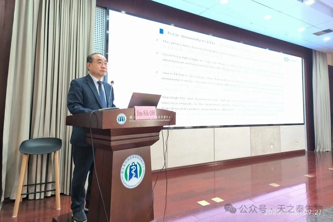 1763619036234928.jpg 23.jpg