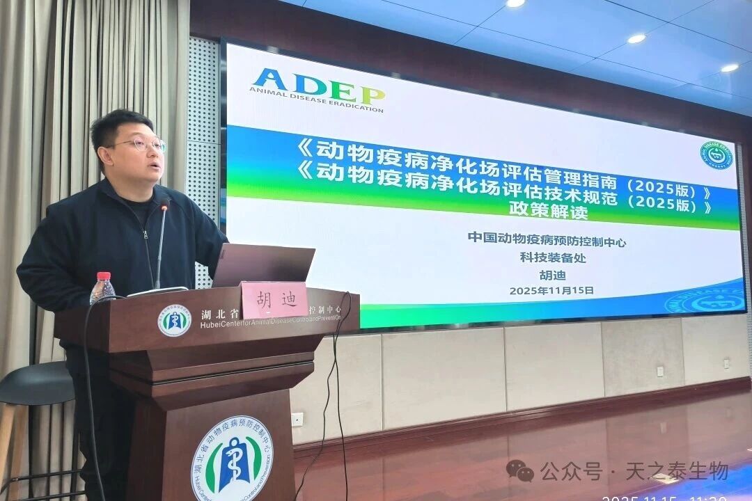 1763619207438185.jpg 25.jpg