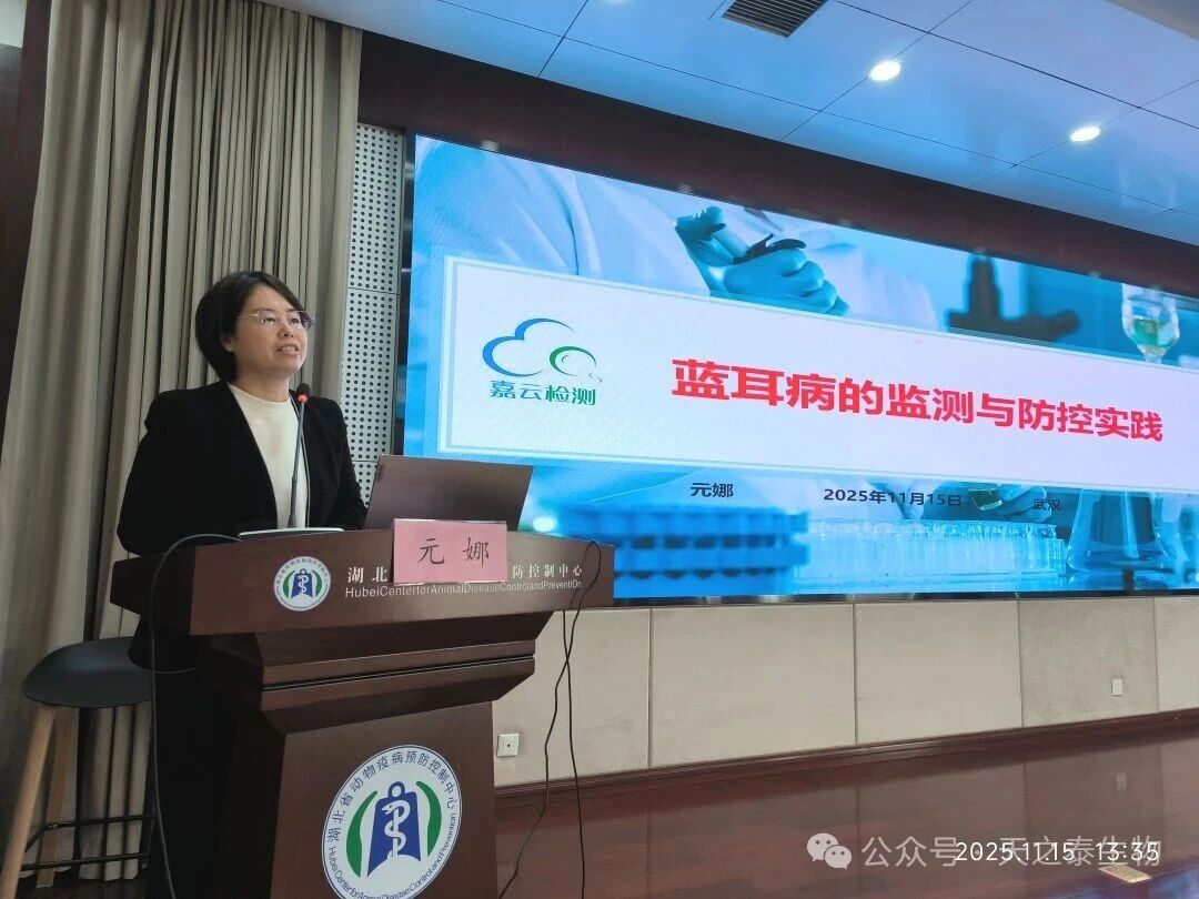 1763619245941568.jpg 26.jpg