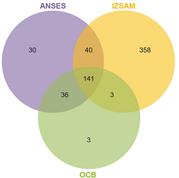 1768879790337595.png 33.png