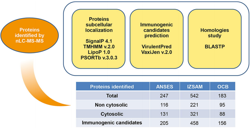 1768880162685750.png 44.png