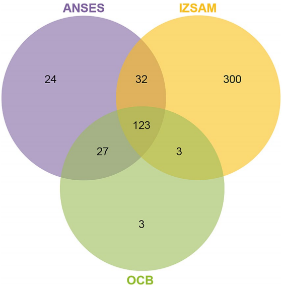 1768880176700595.png 55.png