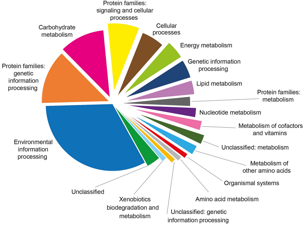 1768880188965561.png 66.png