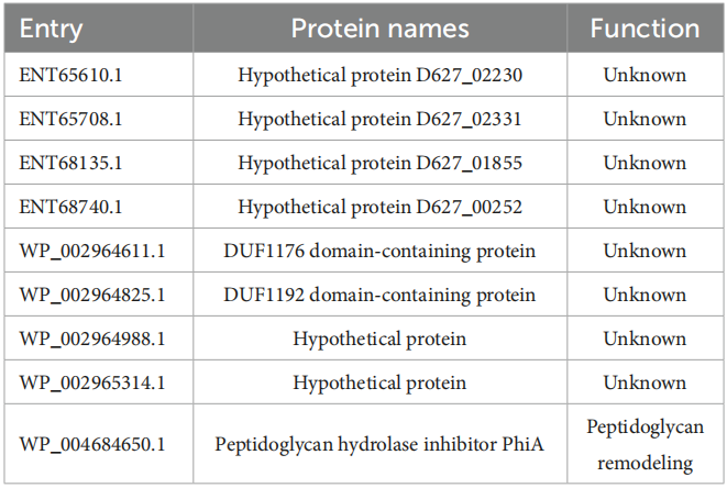 1768880200925694.png 77.png